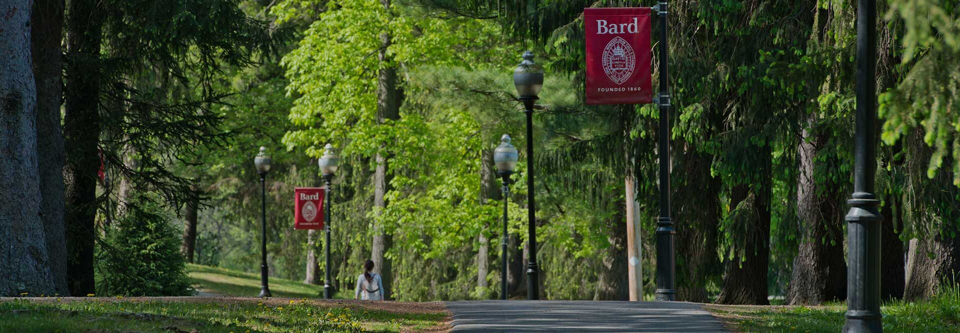 A tree-lined path on the Bard Annandale Campus.